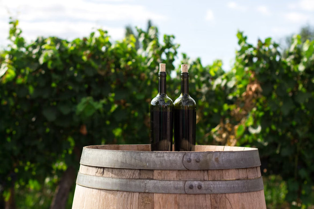 Descomplicando o Vinho: Tudo o que você precisa saber