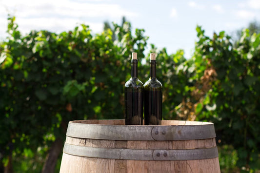 Descomplicando o Vinho: Tudo o que você precisa saber
